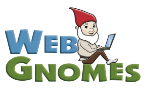 SEO Professional - Web gnome with laptop