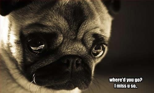 I miss you.