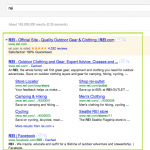 SEO and SEM Equals Internet Success - Google Example - REI.com