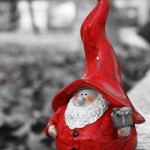 Christmas Gnome