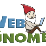 SEO Professional - Web gnome with laptop